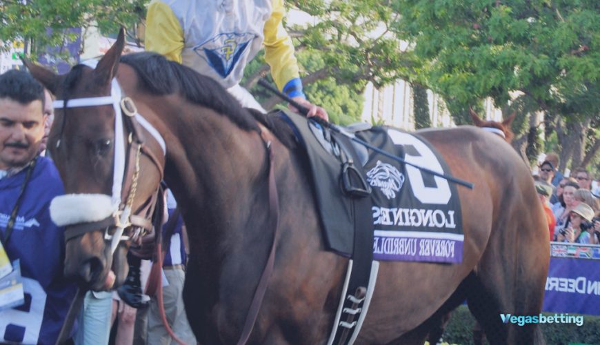 2021 Breeders' Cup Classic Picks