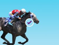2021 Haskell Stakes Betting Picks