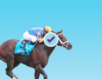 2021 Travers Stakes Free Picks