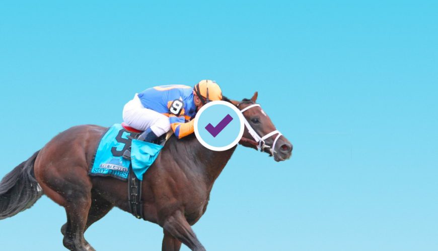 2021 Travers Stakes Free Picks