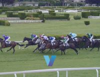 Cheltenham Gold Cup Distance Ground Suit Haiti Couleurs
