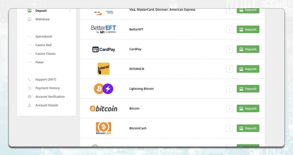 A Screenshot Showing The Cashier Options Of Everygame