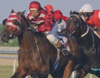 Alabama Stakes Nest Looks Best