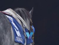 Belmont Derby Trikari Ready For Step To Grade 1