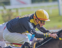 Belmont Derby Wizard Of Westwood Ships For Good Reason