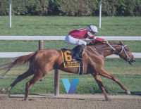 Belmont Stakes Baeza Can Turn Tables