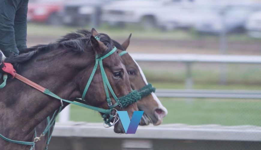 Belmont Stakes National Treasure Final Jewel
