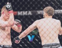 Best Ufc 295 Picks Jiří Procházka Vs. Alex Pereira Best Bets