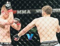 Best Ufc 296 Picks Alexandre Pantoja Vs. Brandon Royval Best Bets