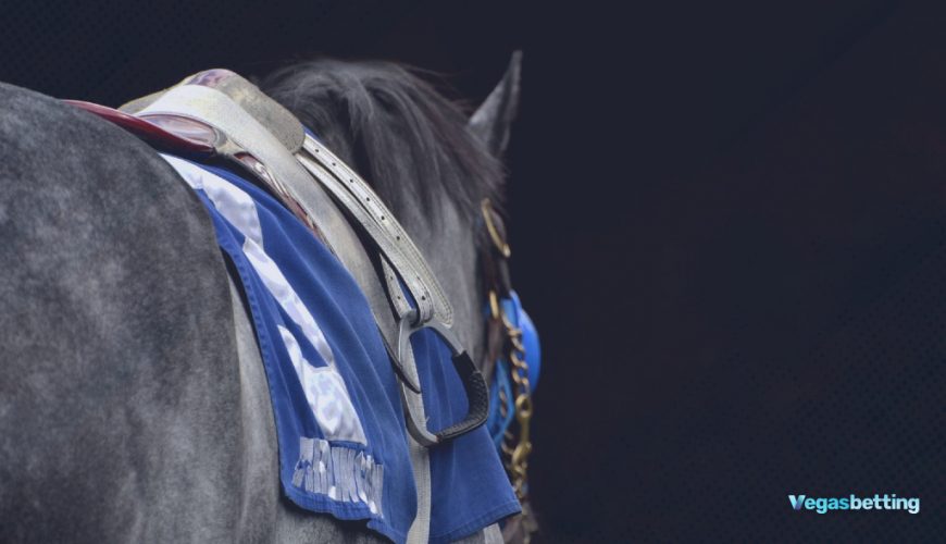 Breeders Stakes Dancin In Danile Can Move Forward