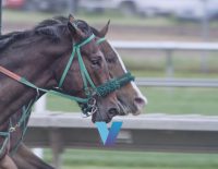 Breeders Stakes Tito's Calling Has Tools