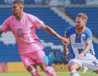 Brighton Vs Wolves Picks