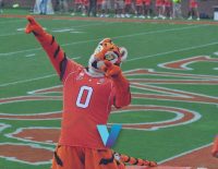 Clemson Look Too Strong For The Volunteers In The Orange Bowl