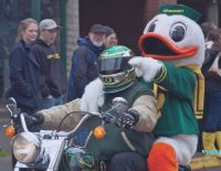 Ducks (1)