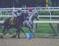 Holy Bull Fierceness Continue Championship Form