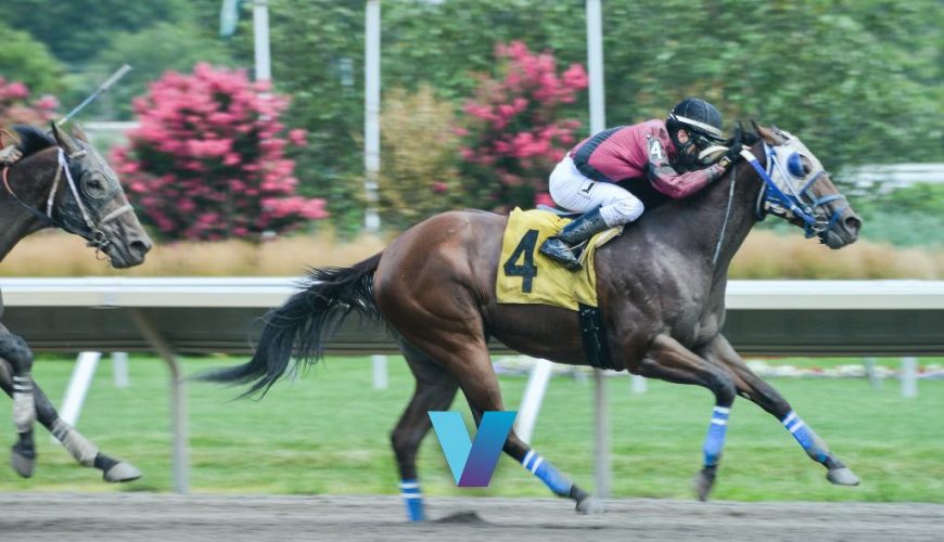 Improving Cyberknife Is Great Kentucky Derby Value