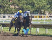 Kentucky Derby Burnham Square Upside Right Price