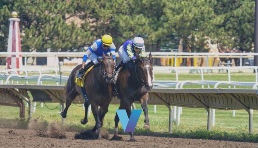 Kentucky Derby Burnham Square Upside Right Price