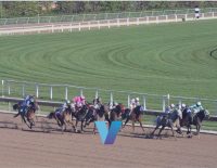 Kentucky Derby Mage Overlay
