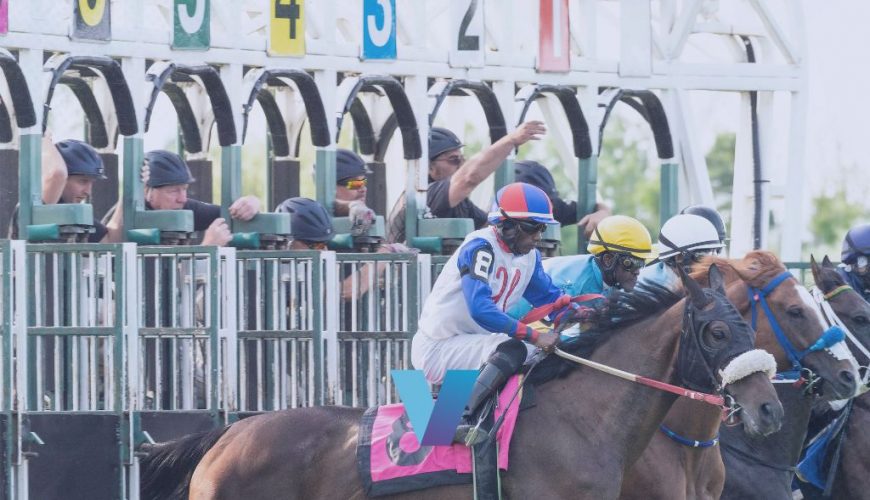 Kentucky Oaks Bet Wet Paint Wet Day