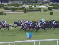 Melbourne Cup Soulcombe Has Upside At A Price