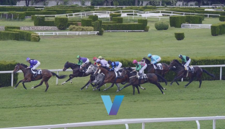 Melbourne Cup Soulcombe Has Upside At A Price