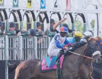 Mystik Dan Turn Tables Belmont Stakes