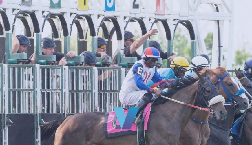 Mystik Dan Turn Tables Belmont Stakes
