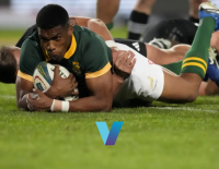 Rugby Union Betting Picks England v South Africa 11-16-2024