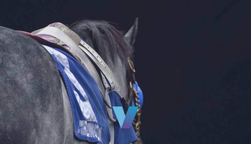 Santa Anita Derby Geaux Rocket Ride Win Value