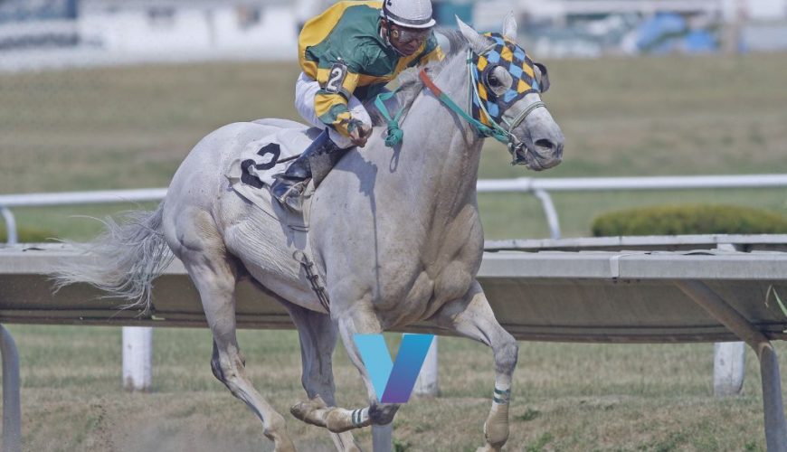 Santa Anita Derby Tapalo Can Beat Favorite At Price