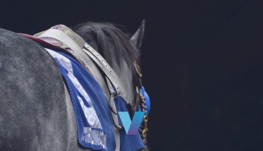 Stalking Trip Benefits War Bomber