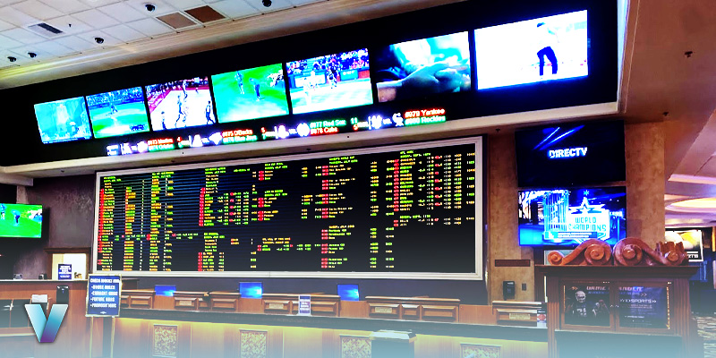 Suncoast Sportsbook 101