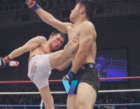 UFC Fight Night Yusuff Vs. Barboza Betting Picks