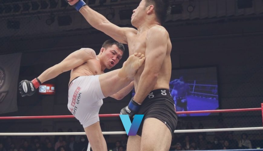 UFC Fight Night Yusuff Vs. Barboza Betting Picks