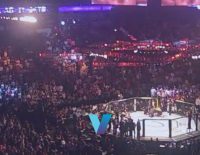 Ufc Vegas 83 Best Bets Song Yadong Vs. Chris Gutierrez Picks