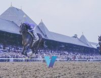 VGB Breeders' Cup 2025 Sovereignty Primed To Win Classic