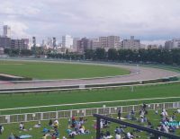 Vgb Breeders' Cup Classic Flightline Favored