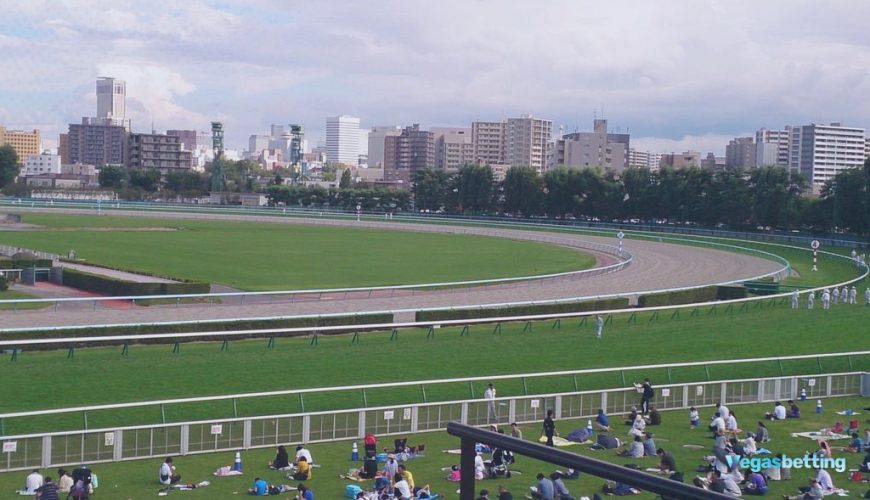 Vgb Breeders' Cup Classic Flightline Favored