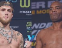Vgb Catchweight Boxing Bets Silva Over Paul