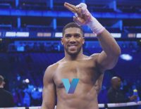 VGB Joshua To Win With Conviction Over Ngannou