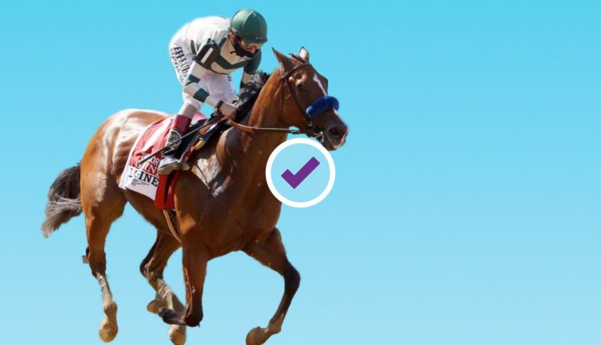 belmont stakes betting odds