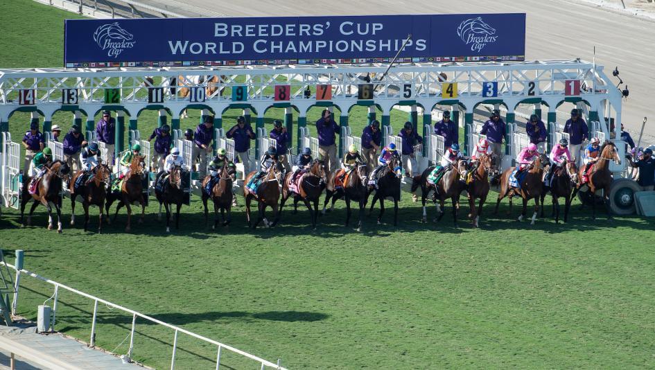 breeders' cup odds