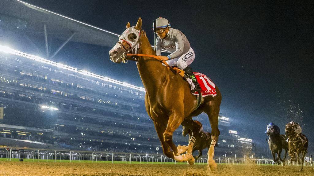 Dubai World Cup Odds