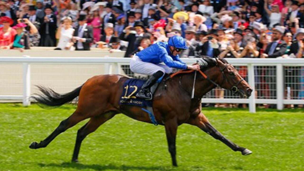 Horse Racing Betting Odds