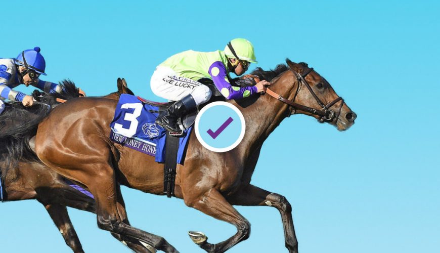 kentucky derby picks