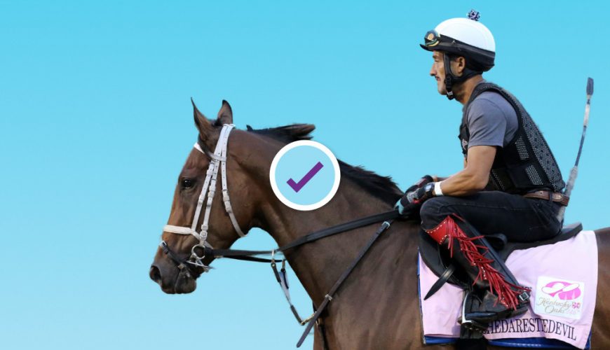 kentucky oaks betting picks