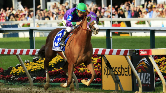 Preakness Betting Odds