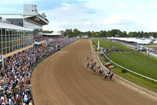 Preakness Betting Odds