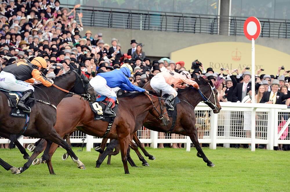 Royal Ascot Betting Odds